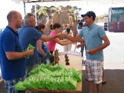 Pesca (103)