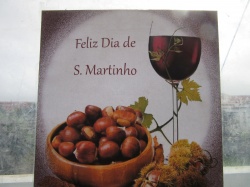 Dia de S&atilde;o Martinho (74)