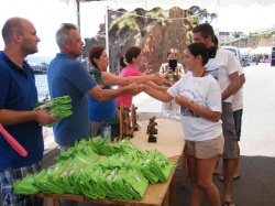 Pesca (105)