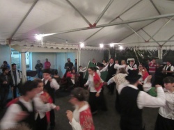 Dia de S&atilde;o Martinho (92)