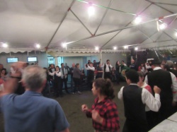 Dia de S&atilde;o Martinho (95)