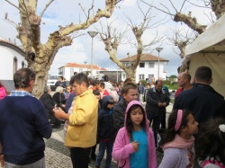 Dia de S&atilde;o Martinho (40)