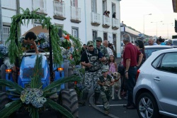 Cortejo (14)