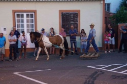 Cortejo (11)