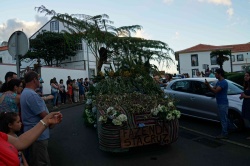 Cortejo (15)