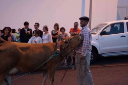 Cortejo (12)