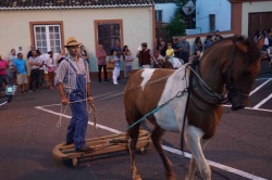 Cortejo (14)