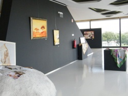 Exposi&ccedil;&atilde;o de Pintura sobre Seda Natural (11)