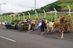 Cortejo (04)