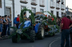 Cortejo (12)