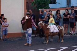 Cortejo (13)