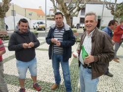 Dia de S&atilde;o Martinho (14)