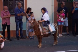 Cortejo (15)