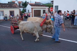 Cortejo (19)