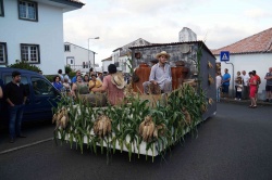 Cortejo (16)