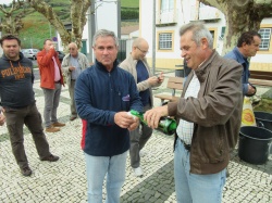 Dia de S&atilde;o Martinho (15)