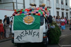 Cortejo (18)