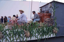 Cortejo (20)