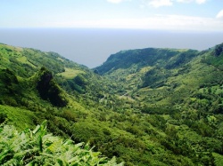 Vale da Ribeira da Cruz (01)