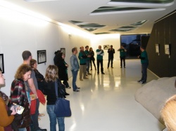 Azores Fringe (02)