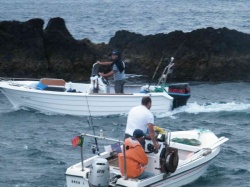 Pesca (22)