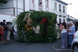 Cortejo (21)