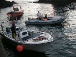 Concurso de Pesca (21)