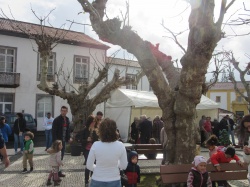 Dia de S&atilde;o Martinho (21)