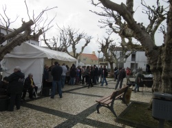 Dia de S&atilde;o Martinho (24)