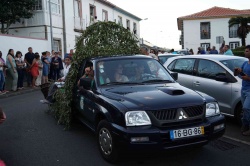 Cortejo (29)