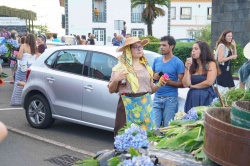 Cortejo (27)