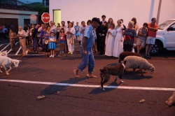 Cortejo (24)
