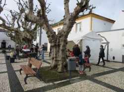 Dia de S&atilde;o Martinho (25)