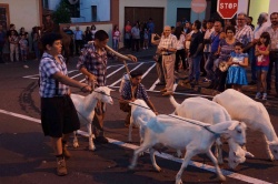 Cortejo (25)