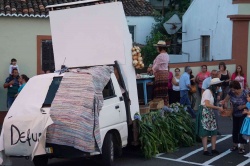 Cortejo (29)