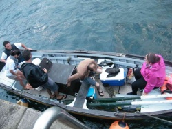 Pesca (27)