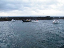 Pesca (31)