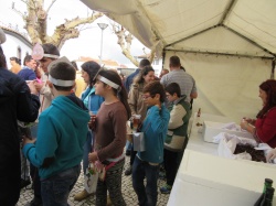 Dia de S&atilde;o Martinho (38)