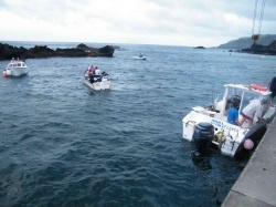 Pesca (32)