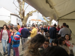 Dia de S&atilde;o Martinho (39)