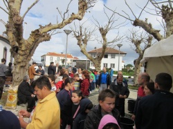 Dia de S&atilde;o Martinho (41)