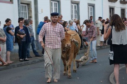 Cortejo (32)