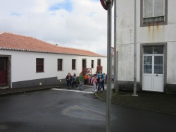 Dia de S&atilde;o Martinho (44)