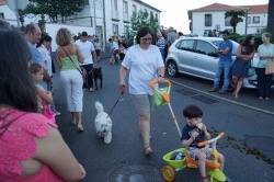 Cortejo (34)