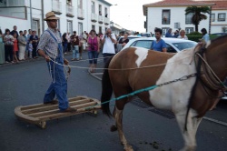 Cortejo (39)