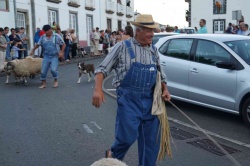 Cortejo (42)
