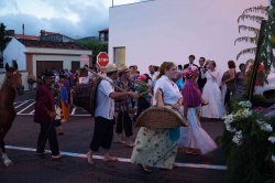 Cortejo (41)