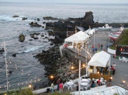 Cortejo (43)
