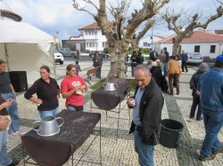 Dia de S&atilde;o Martinho (32)