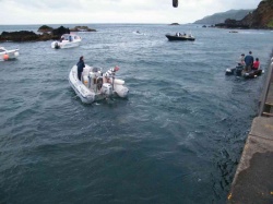 Pesca (42)